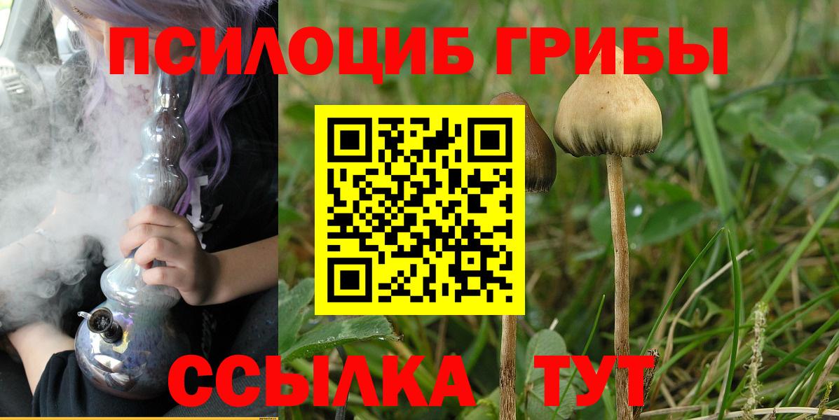 Галлюциногенные грибы GOLDEN TEACHER Сорочинск